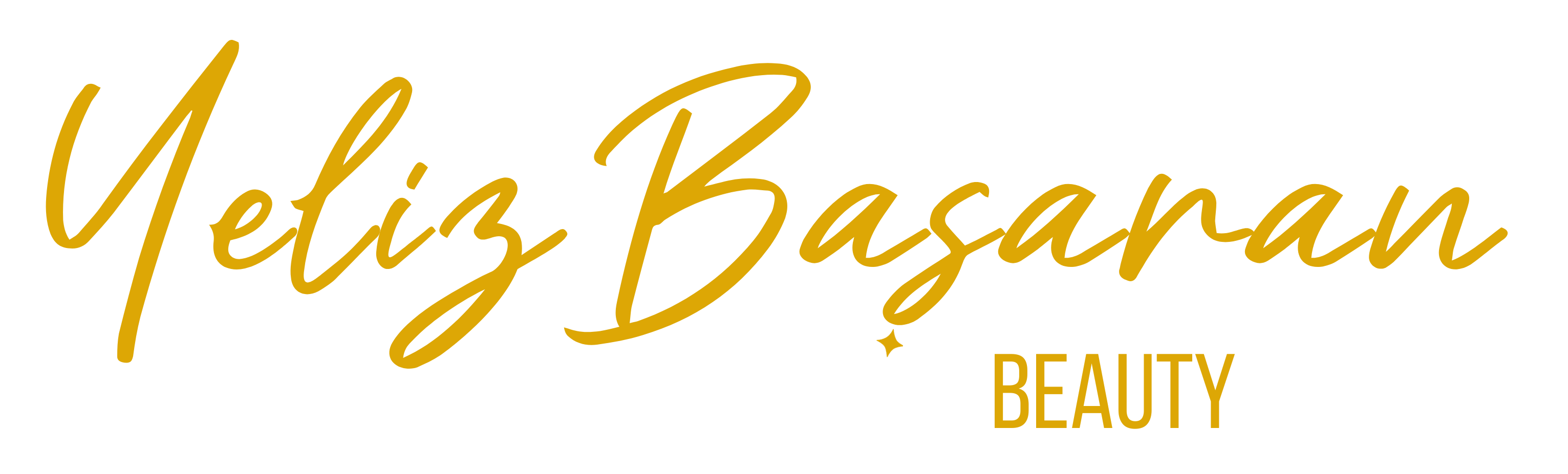 Yeliz Başaran Transparan Logo